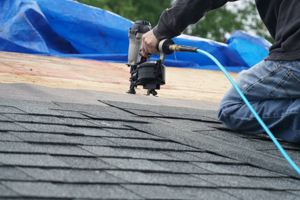 Best Roof Moss and Algae Removal  in Bayside Gardens, OR